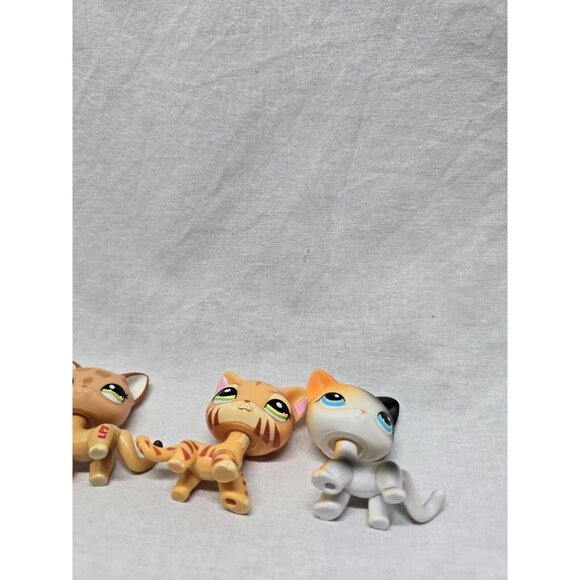 Bobble Head Pets-Leopard Short Hair Cat, Calico, Tabby Cat- - Picture 5 of 8